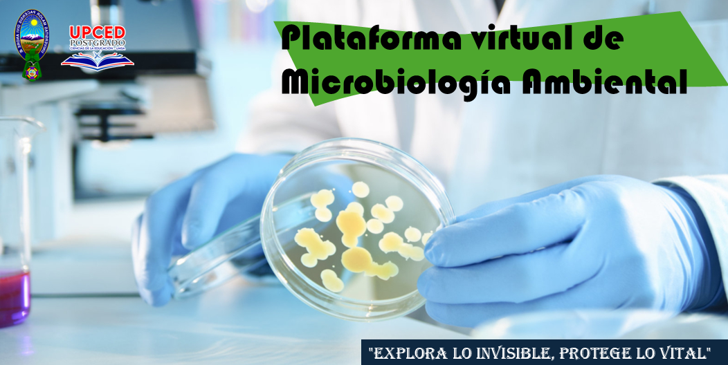 Portada de plataforma virtual